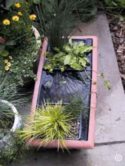 Top view of orange rectangular water garden with various potted plants