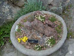Rock garden design within the container