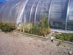 Hobby greenhouse covering