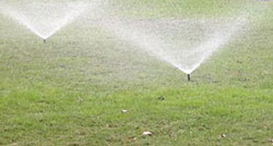 Sprinklers on lawn