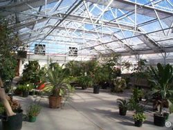 Hobby greenhouse types