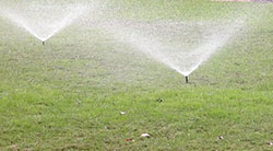 Watering lawn