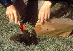 Soil tests