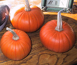 Three pumpkins as decorations