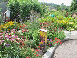 gardening landscape